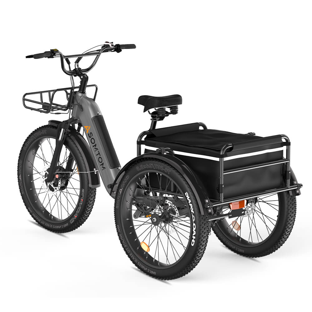 High Capacity Durable Cargo Tricycle WHALE ASOMTOM