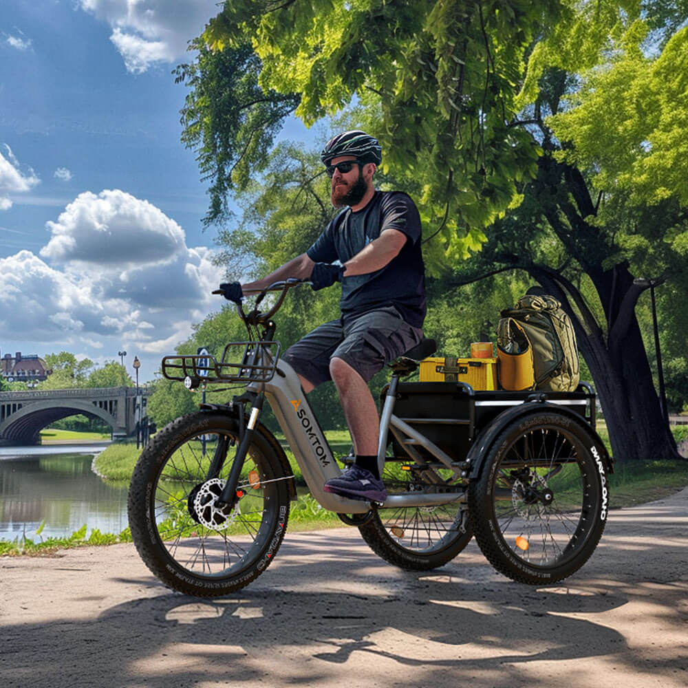 High-Capacity Durable E-Trike WHALE