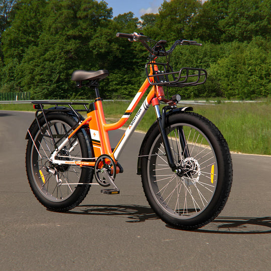 Urban Commuter E-Bike RV3