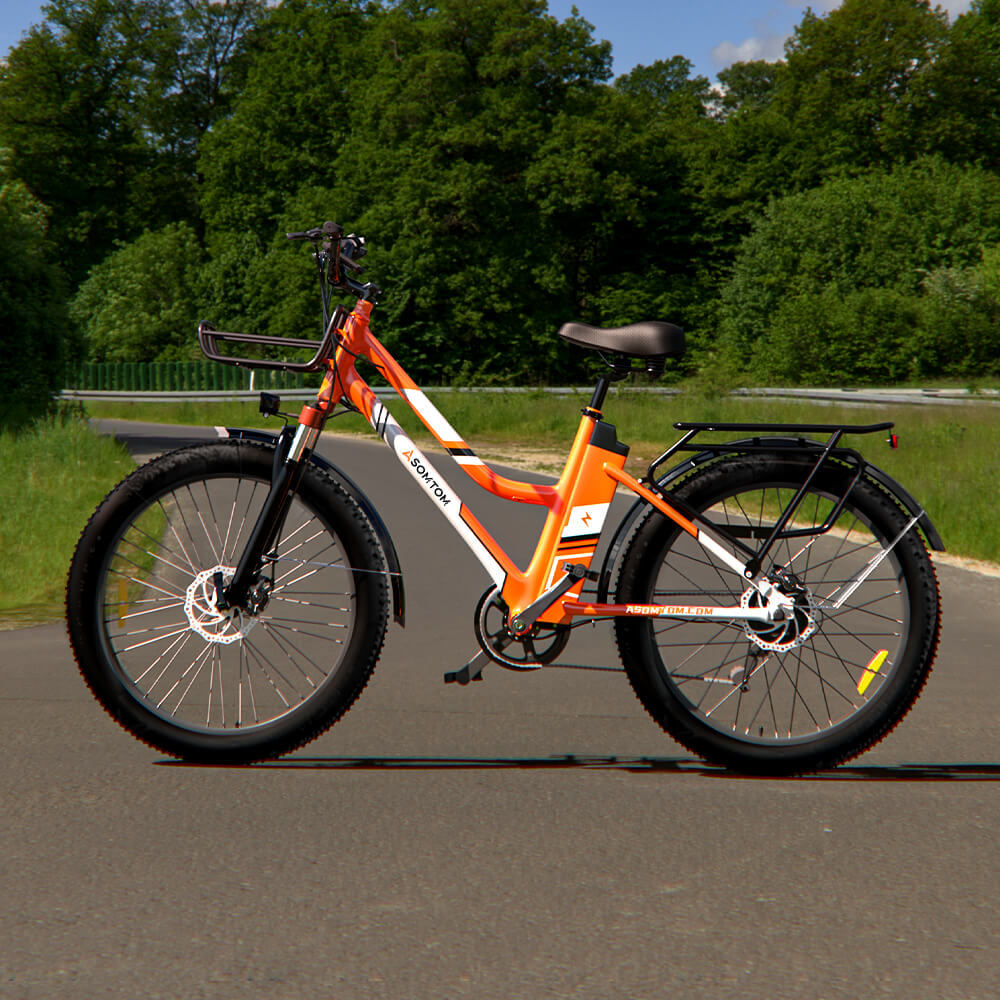 Urban Commuter E-Bike RV3